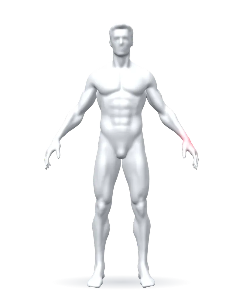 Body in 2014