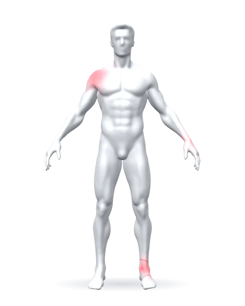 Body in 2019